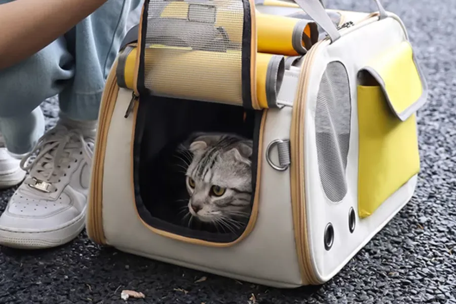 Lightweight Folding Dog and Cat Carrier